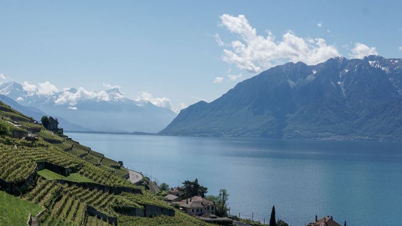 Terraced vineyards of Lavaux above Lake Geneva