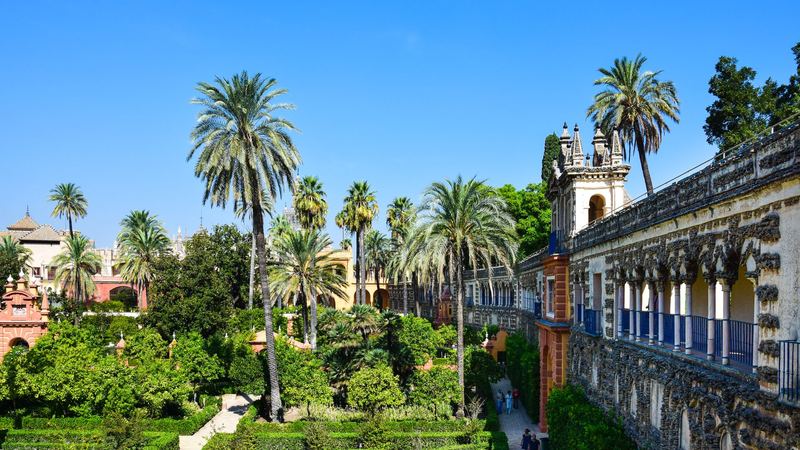 Palm trees and formal gardens beside the Moorish palace of the Alcázar in Seville