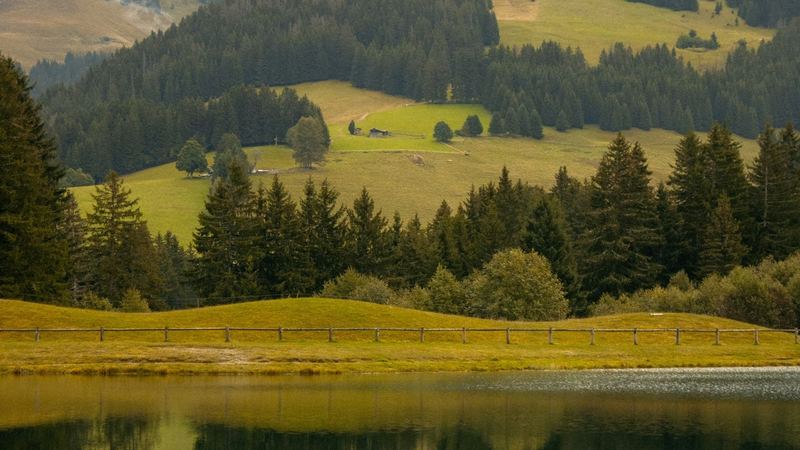 Green meadows, firs and a fence reflected in a still lake in early autumn