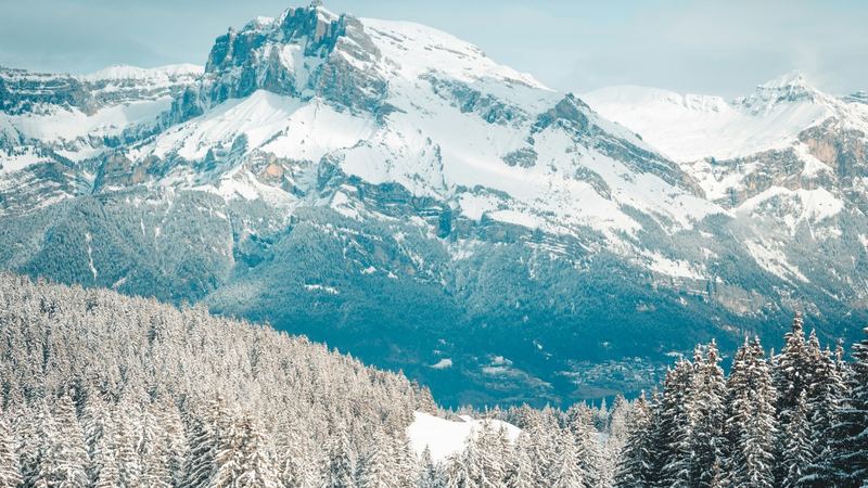 A fresh snowfield and snowy firs below a great rock peak