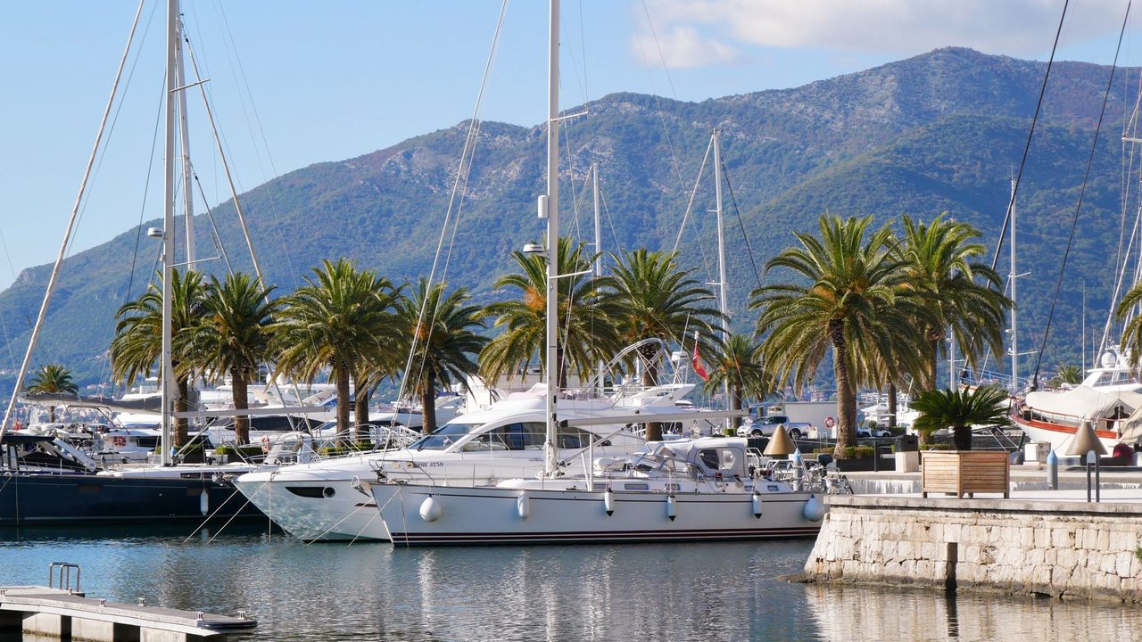 Yachts and palms at Porto Montenegro, Tivat, the mountains of the Bay of Kotor behind