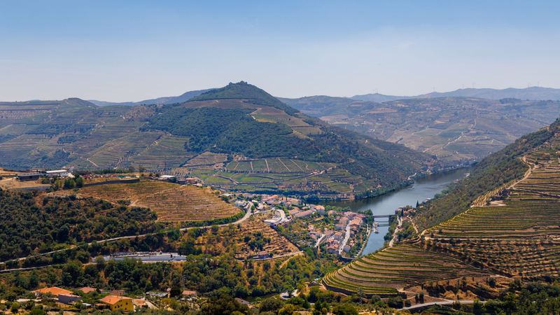 The Douro winding between terraced vineyards and quintas near Pinhão