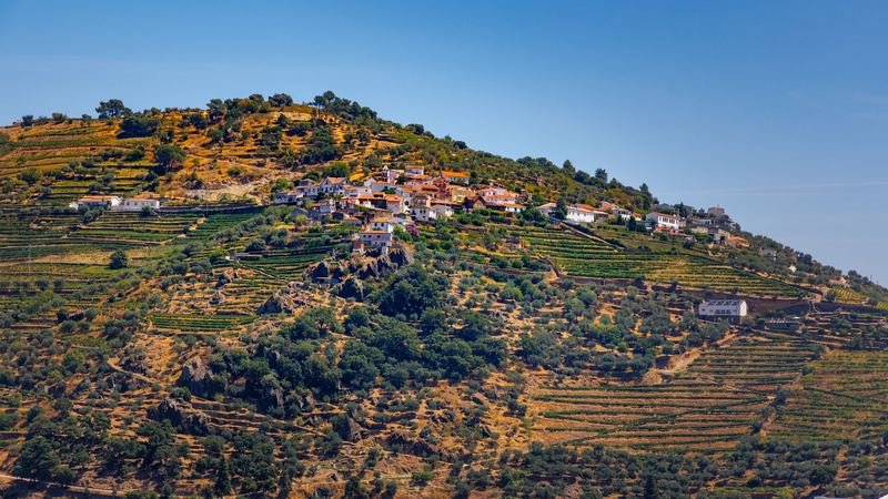 A whitewashed village above terraced vineyards and olive groves in the Douro Valley