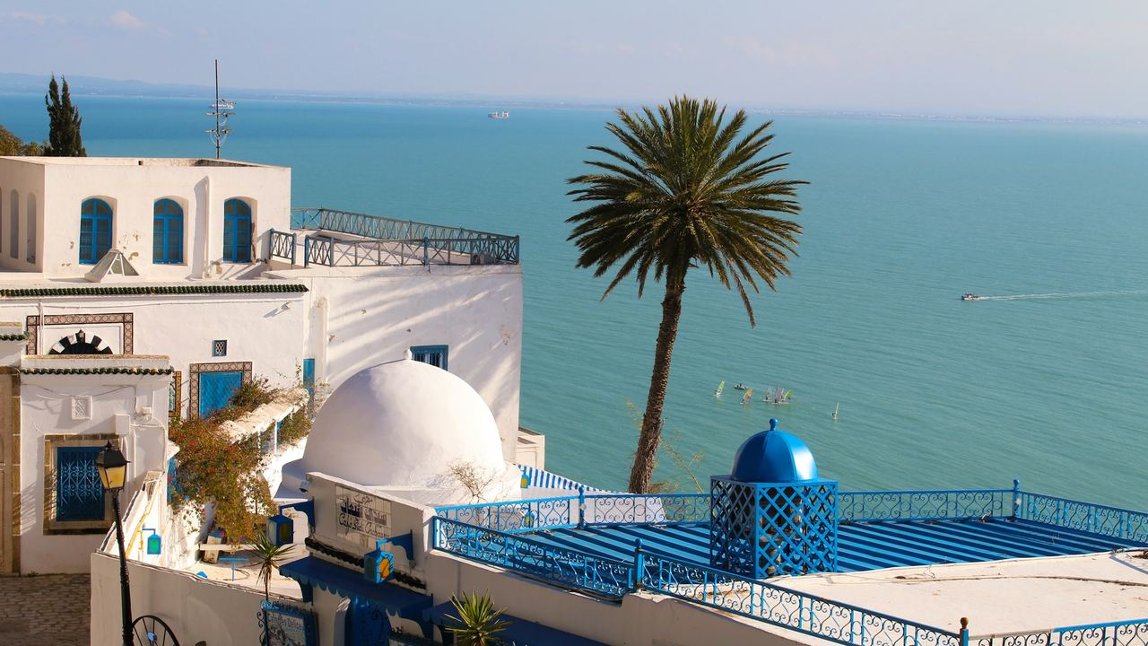 The white walls, blue doors and domes of Sidi Bou Said above the Gulf of Tunis, with a palm tree