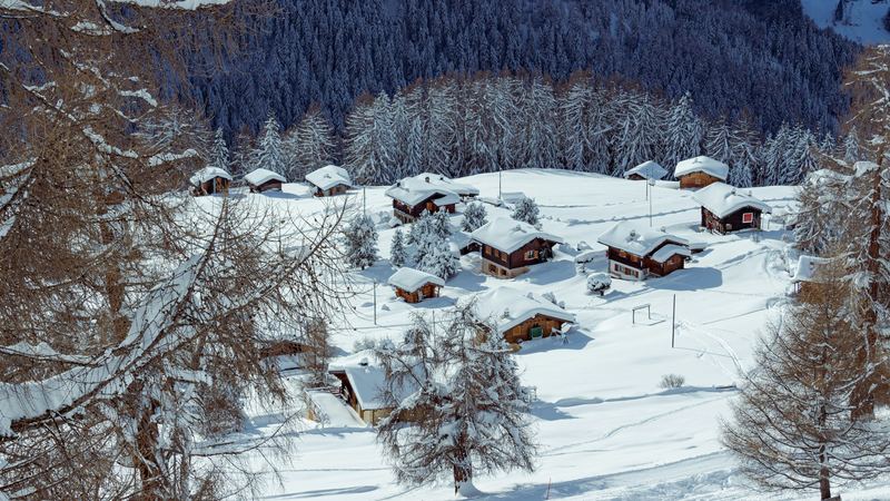 A hamlet of wooden chalets deep in snow among larch and fir forest